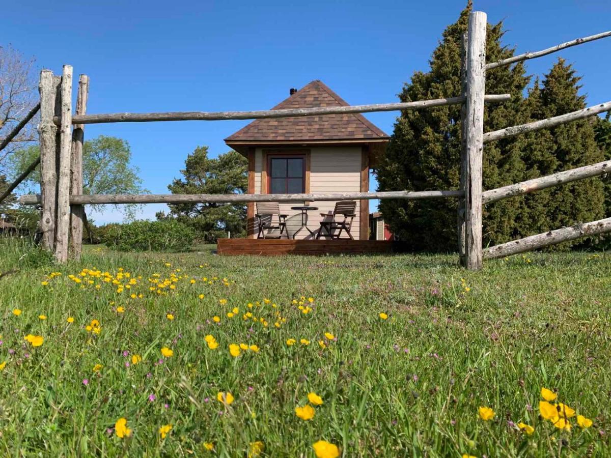 Riksu Muha Beach Holiday Home מראה חיצוני תמונה